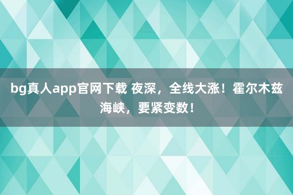 bg真人app官网下载 夜深，全线大涨！霍尔木兹海峡，要紧变数！