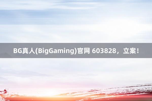 BG真人(BigGaming)官网 603828，立案！