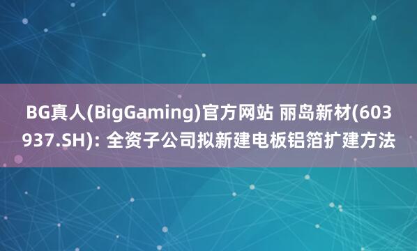 BG真人(BigGaming)官方网站 丽岛新材(603937.SH): 全资子公司拟新建电板铝箔扩建方法