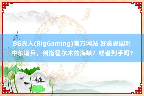 BG真人(BigGaming)官方网站 好意思国对中东增兵，剑指霍尔木兹海峡？或者到手吗？