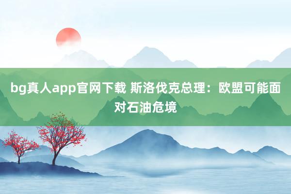 bg真人app官网下载 斯洛伐克总理：欧盟可能面对石油危境