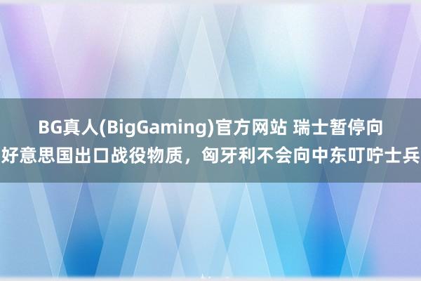 BG真人(BigGaming)官方网站 瑞士暂停向好意思国出口战役物质，匈牙利不会向中东叮咛士兵