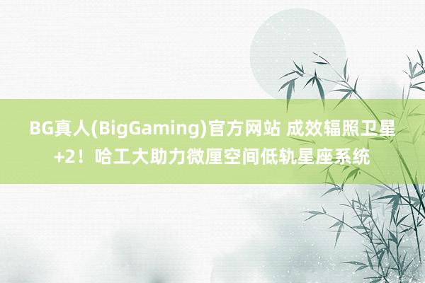 BG真人(BigGaming)官方网站 成效辐照卫星+2！哈工大助力微厘空间低轨星座系统
