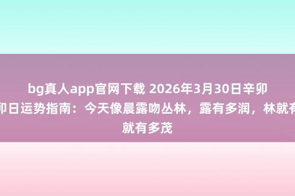 bg真人app官网下载 2026年3月30日辛卯月癸卯日运势指南：今天像晨露吻丛林，露有多润，林就有多茂