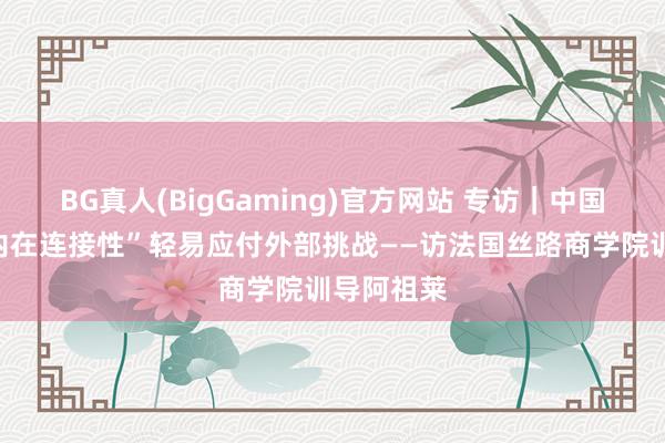 BG真人(BigGaming)官方网站 专访｜中国经济以“内在连接性”轻易应付外部挑战——访法国丝路商学院训导阿祖莱