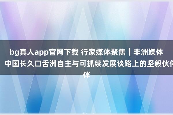 bg真人app官网下载 行家媒体聚焦｜非洲媒体：中国长久口舌洲自主与可抓续发展谈路上的坚毅伙伴