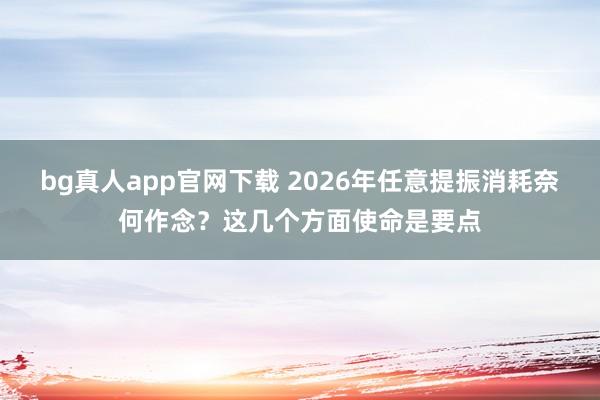bg真人app官网下载 2026年任意提振消耗奈何作念？这几个方面使命是要点