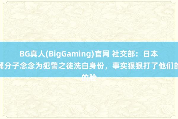 BG真人(BigGaming)官网 社交部：日本右翼分子念念为犯警之徒洗白身份，事实狠狠打了他们的脸