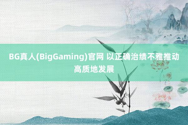 BG真人(BigGaming)官网 以正确治绩不雅推动高质地发展