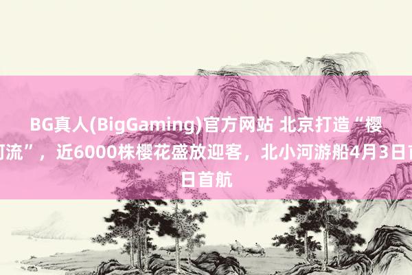 BG真人(BigGaming)官方网站 北京打造“樱花河流”，近6000株樱花盛放迎客，北小河游船4月3日首航