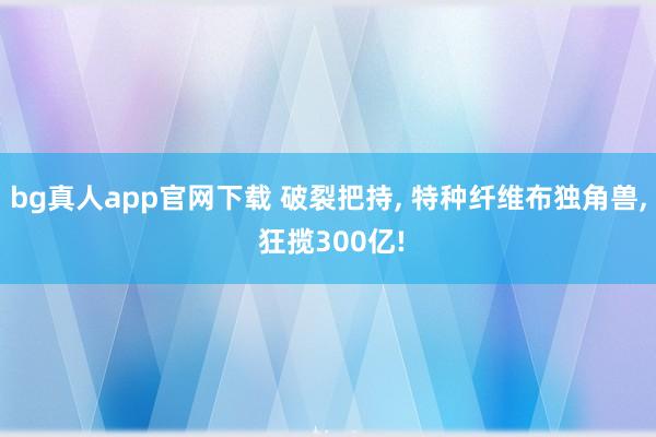 bg真人app官网下载 破裂把持, 特种纤维布独角兽, 狂揽300亿!