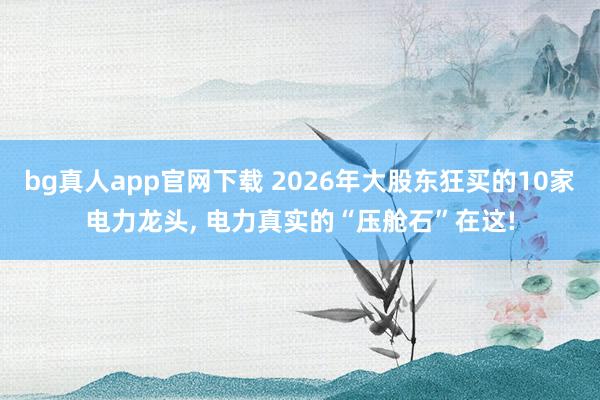 bg真人app官网下载 2026年大股东狂买的10家电力龙头, 电力真实的“压舱石”在这!