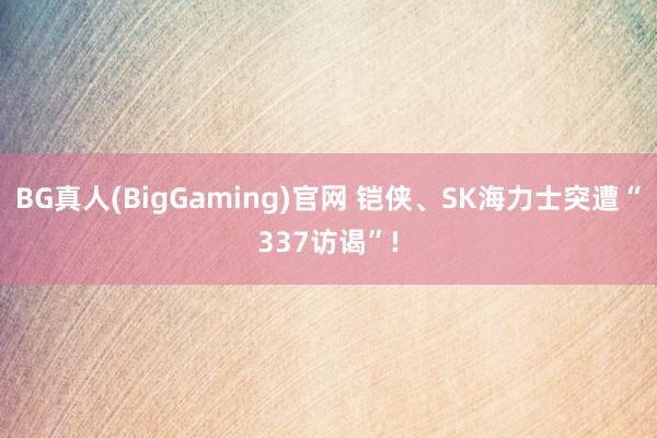 BG真人(BigGaming)官网 铠侠、SK海力士突遭“337访谒”!