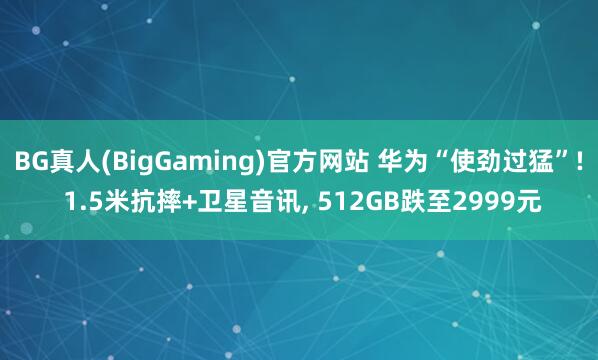 BG真人(BigGaming)官方网站 华为“使劲过猛”! 1.5米抗摔+卫星音讯， 512GB跌至2999元