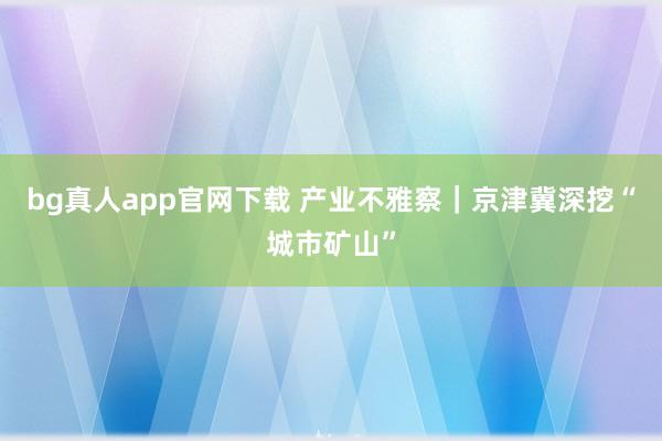 bg真人app官网下载 产业不雅察｜京津冀深挖“城市矿山”