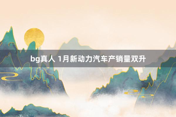bg真人 1月新动力汽车产销量双升