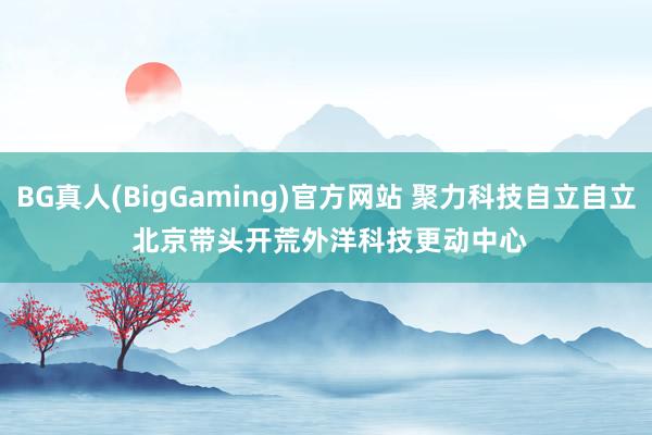 BG真人(BigGaming)官方网站 聚力科技自立自立 北京带头开荒外洋科技更动中心
