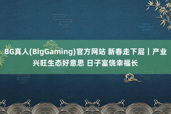 BG真人(BigGaming)官方网站 新春走下层｜产业兴旺生态好意思 日子富饶幸福长