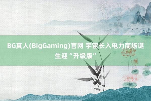 BG真人(BigGaming)官网 宇宙长入电力商场诞生迎“升级版”