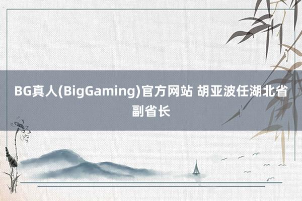 BG真人(BigGaming)官方网站 胡亚波任湖北省副省长