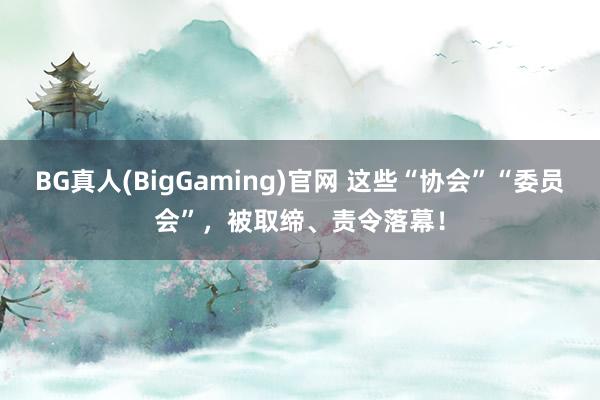 BG真人(BigGaming)官网 这些“协会”“委员会”，被取缔、责令落幕！