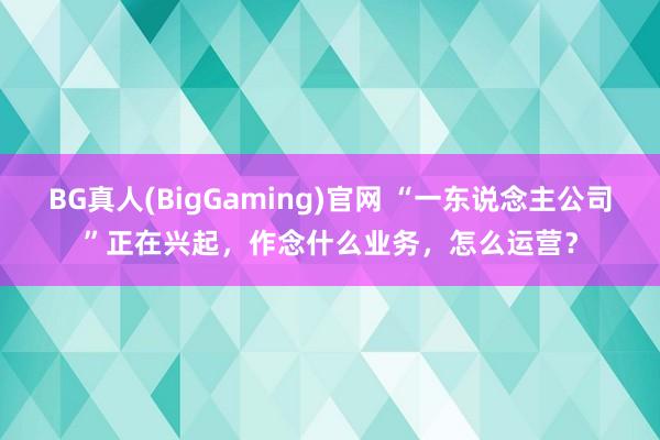 BG真人(BigGaming)官网 “一东说念主公司”正在兴起，作念什么业务，怎么运营？