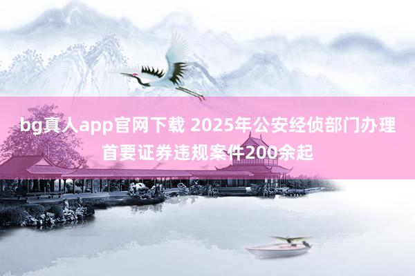 bg真人app官网下载 2025年公安经侦部门办理首要证券违规案件200余起