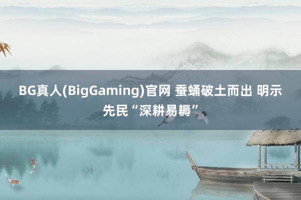 BG真人(BigGaming)官网 蚕蛹破土而出 明示先民“深耕易耨”
