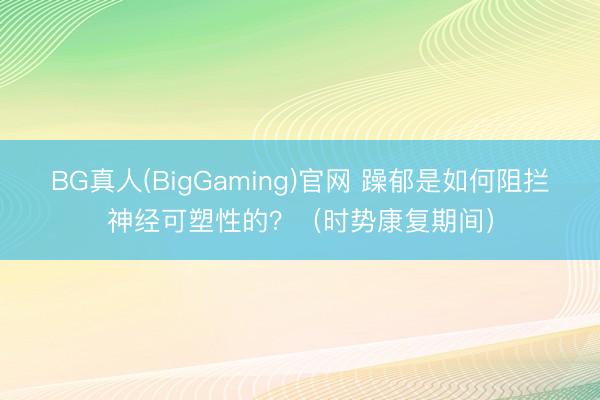 BG真人(BigGaming)官网 躁郁是如何阻拦神经可塑性的？（时势康复期间）