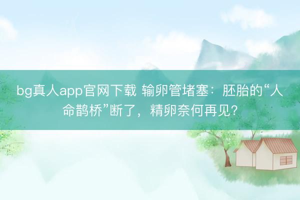 bg真人app官网下载 输卵管堵塞:胚胎的“人命鹊桥”断了,精卵奈何再见?