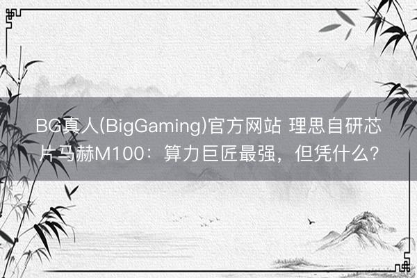 BG真人(BigGaming)官方网站 理思自研芯片马赫M100：算力巨匠最强，但凭什么？