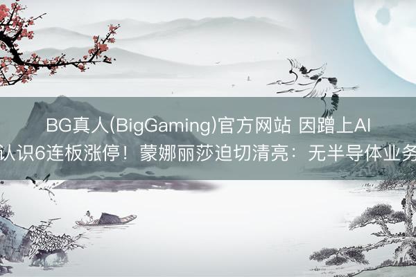 BG真人(BigGaming)官方网站 因蹭上AI认识6连板涨停！蒙娜丽莎迫切清亮：无半导体业务