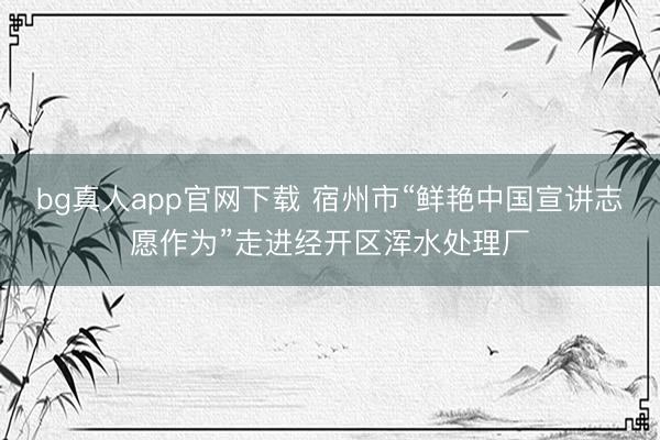 bg真人app官网下载 宿州市“鲜艳中国宣讲志愿作为”走进经开区浑水处理厂
