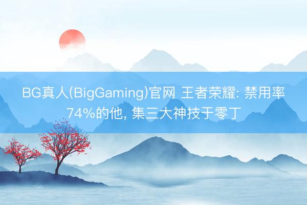 BG真人(BigGaming)官网 王者荣耀: 禁用率74%的他， 集三大神技于零丁