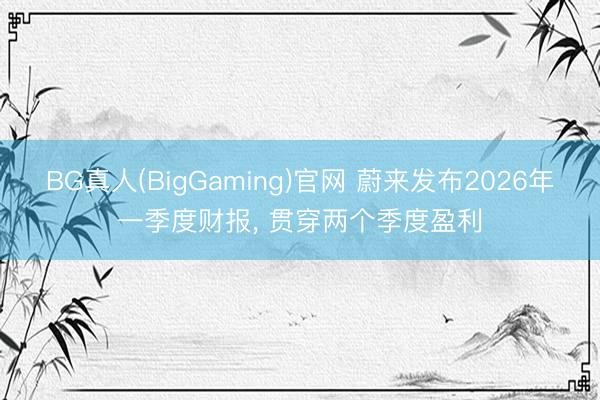 BG真人(BigGaming)官网 蔚来发布2026年一季度财报， 贯穿两个季度盈利