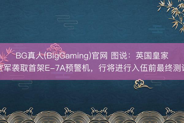 BG真人(BigGaming)官网 图说：英国皇家空军袭取首架E-7A预警机，行将进行入伍前最终测试