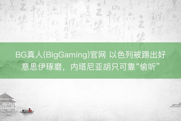 BG真人(BigGaming)官网 以色列被踢出好意思伊琢磨，内塔尼亚胡只可靠“偷听”