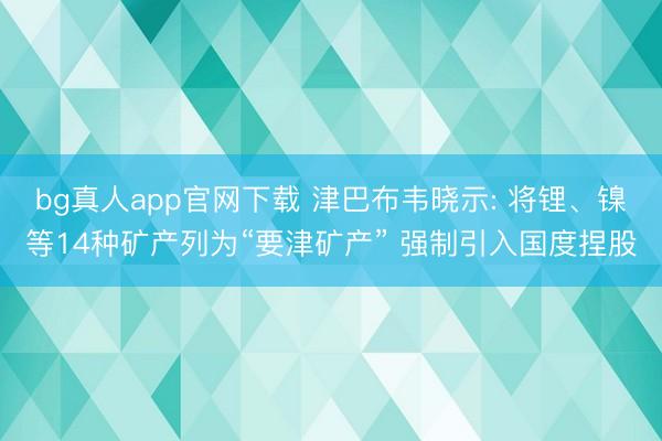 bg真人app官网下载 津巴布韦晓示: 将锂、镍等14种矿产列为“要津矿产” 强制引入国度捏股