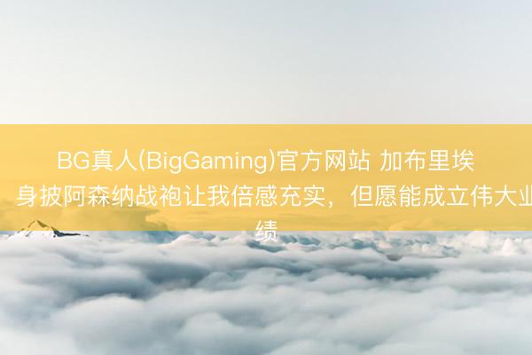 BG真人(BigGaming)官方网站 加布里埃尔：身披阿森纳战袍让我倍感充实，但愿能成立伟大业绩
