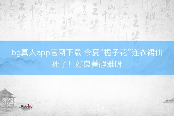 bg真人app官网下载 今夏“栀子花”连衣裙仙死了！好良善静雅呀