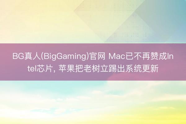 BG真人(BigGaming)官网 Mac已不再赞成Intel芯片， 苹果把老树立踢出系统更新