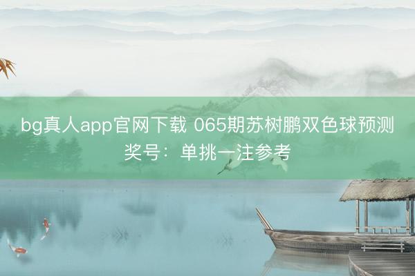 bg真人app官网下载 065期苏树鹏双色球预测奖号:单挑一注参考