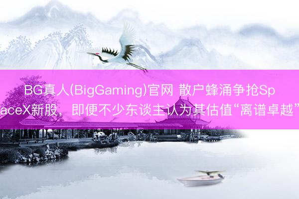 BG真人(BigGaming)官网 散户蜂涌争抢SpaceX新股,即便不少东谈主认为其估值“离谱卓越”