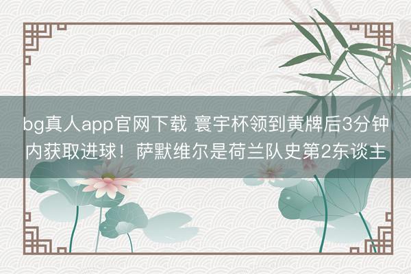 bg真人app官网下载 寰宇杯领到黄牌后3分钟内获取进球！萨默维尔是荷兰队史第2东谈主