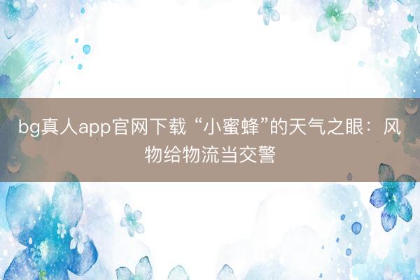 bg真人app官网下载 “小蜜蜂”的天气之眼：风物给物流当交警