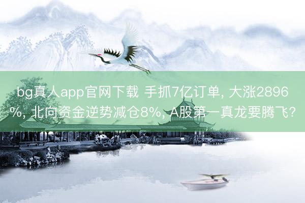 bg真人app官网下载 手抓7亿订单, 大涨2896%, 北向资金逆势减仓8%, A股第一真龙要腾飞?