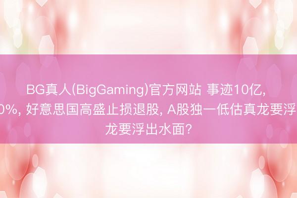 BG真人(BigGaming)官方网站 事迹10亿, 暴增250%, 好意思国高盛止损退股, A股独一低估真龙要浮出水面?