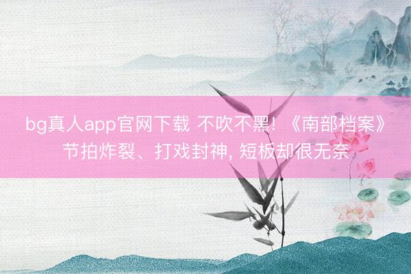 bg真人app官网下载 不吹不黑! 《南部档案》节拍炸裂、打戏封神, 短板却很无奈