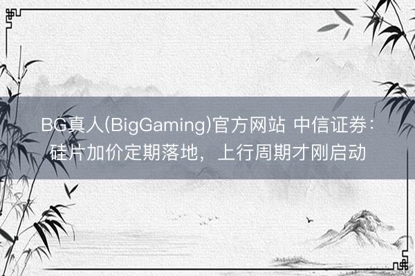 BG真人(BigGaming)官方网站 中信证券：硅片加价定期落地，上行周期才刚启动