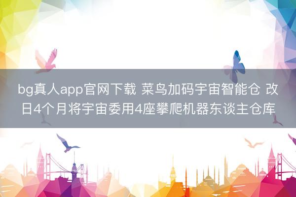 bg真人app官网下载 菜鸟加码宇宙智能仓 改日4个月将宇宙委用4座攀爬机器东谈主仓库